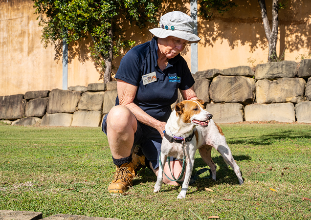 Squeak the dog with her foster carer Julia.